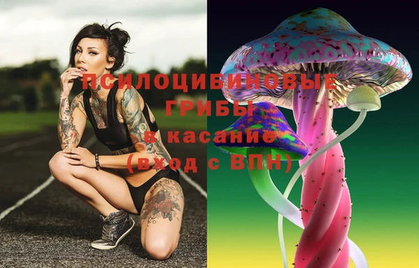 метадон Медногорск