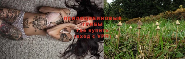 шишки Михайлов