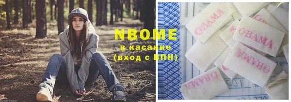 шишки Михайлов